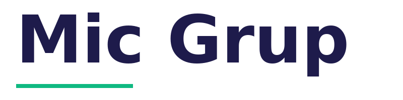 Mic Grup logo